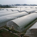 durable vegetable farm greenhouse film